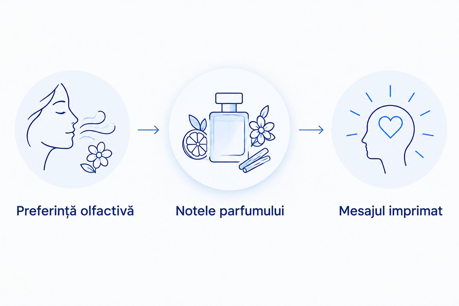 Trei repere pentru alegerea lumânării: preferință olfactivă, notele parfumului și mesajul imprimat.