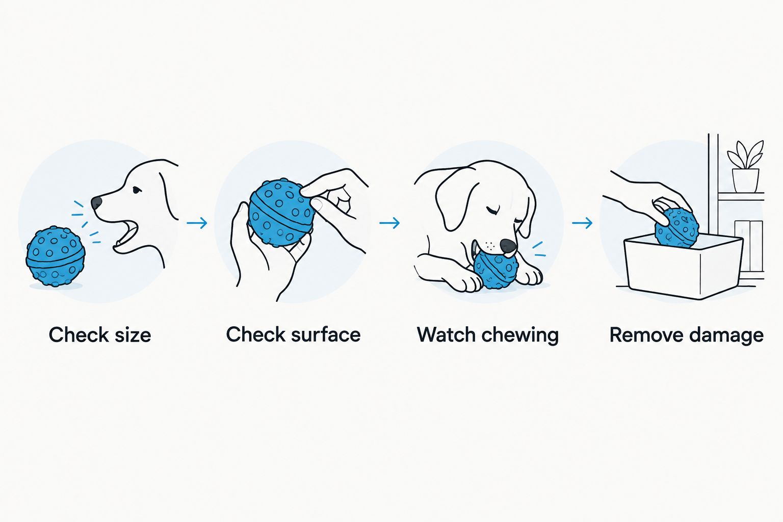 Four checks for choosing, supervising, and removing a dog chew toy