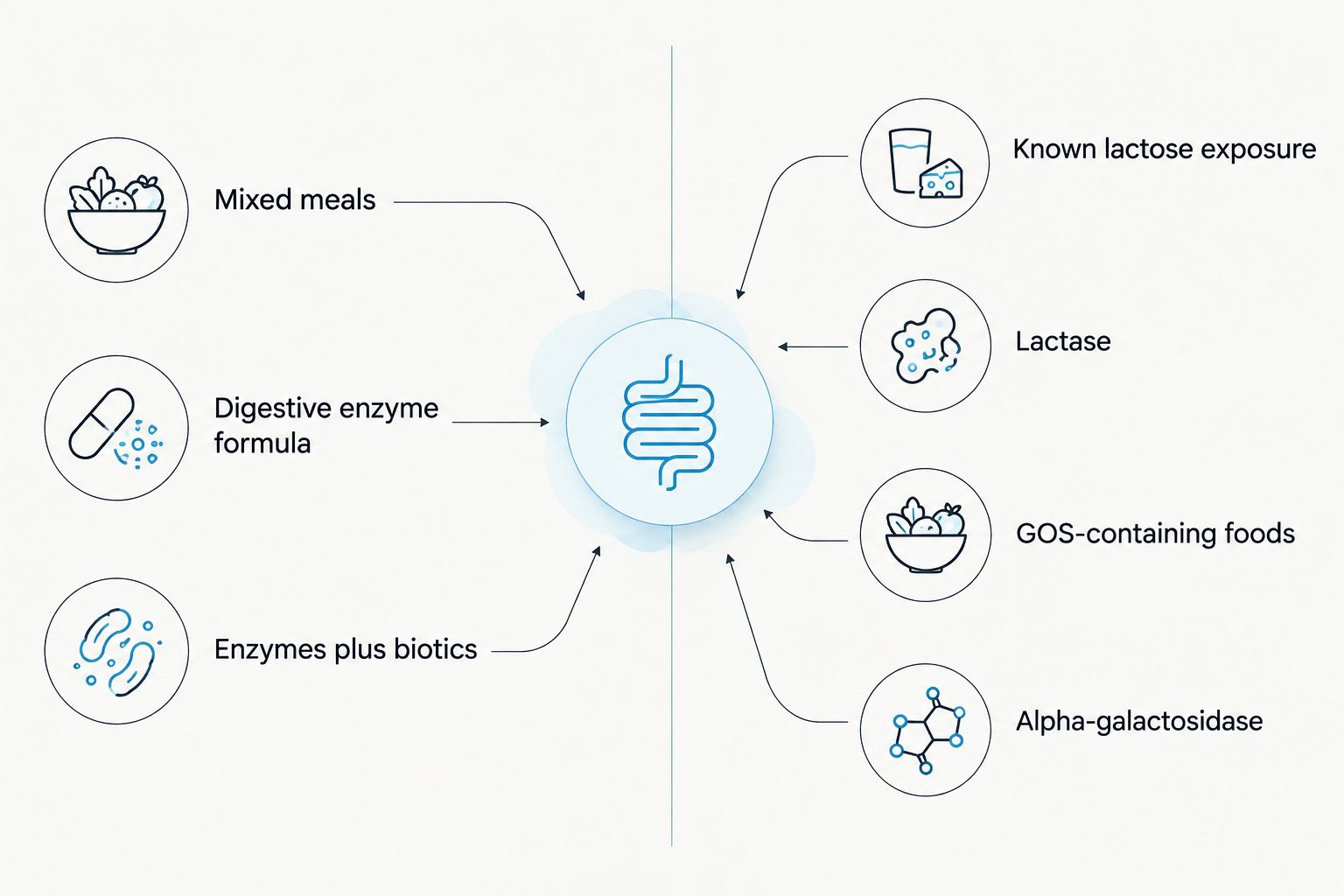 Comparison of mixed-meal enzyme formulas with targeted options for lactose and GOS