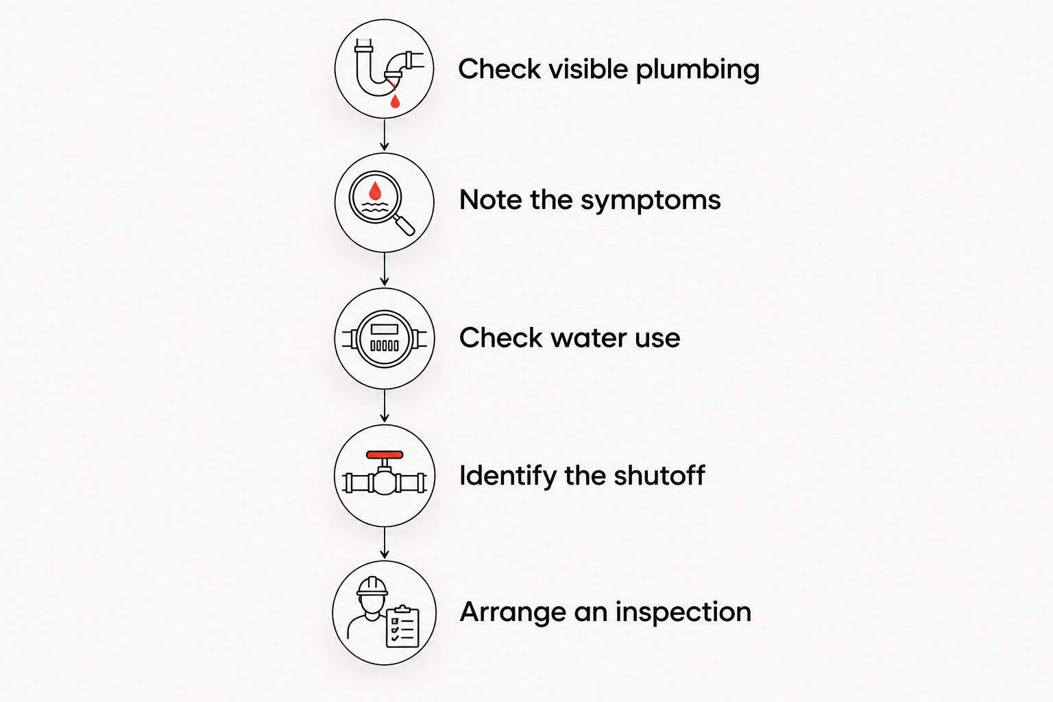 Steps for checking visible plumbing and recording symptoms before arranging a leak inspection.