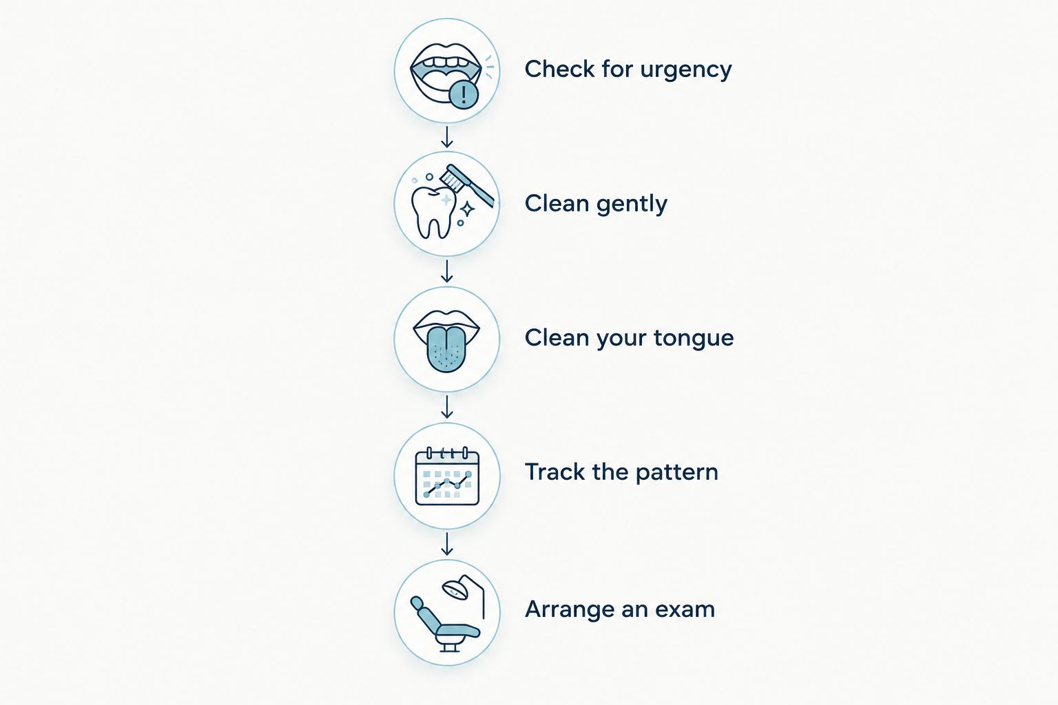 Five steps for responding to persistent bad breath, from checking urgent symptoms to arranging an exam.