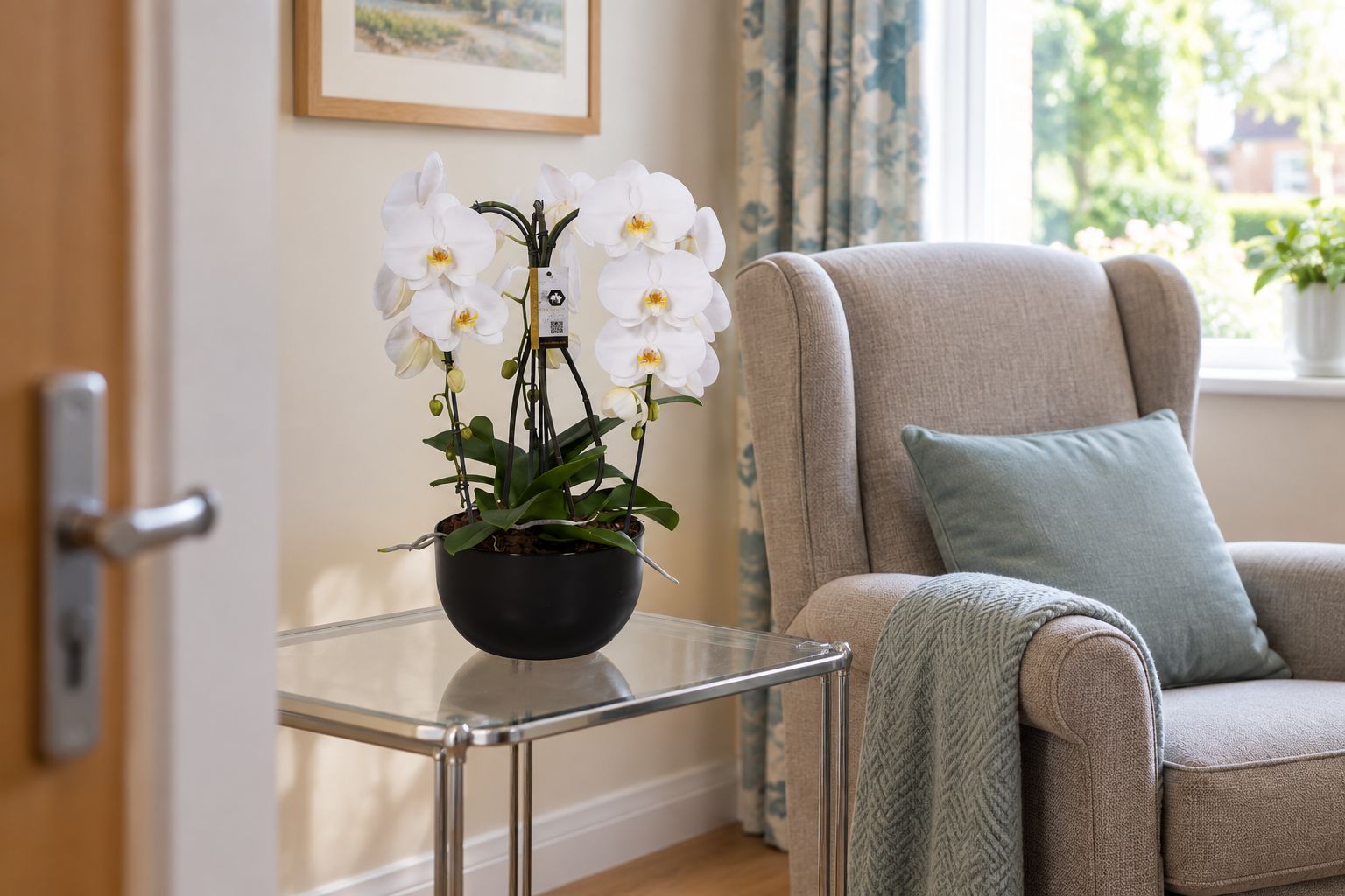 Potted orchid on a side table in a care home room