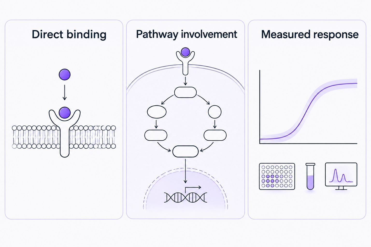 Distinct evidence categories for direct binding, pathway involvement, and measured response.