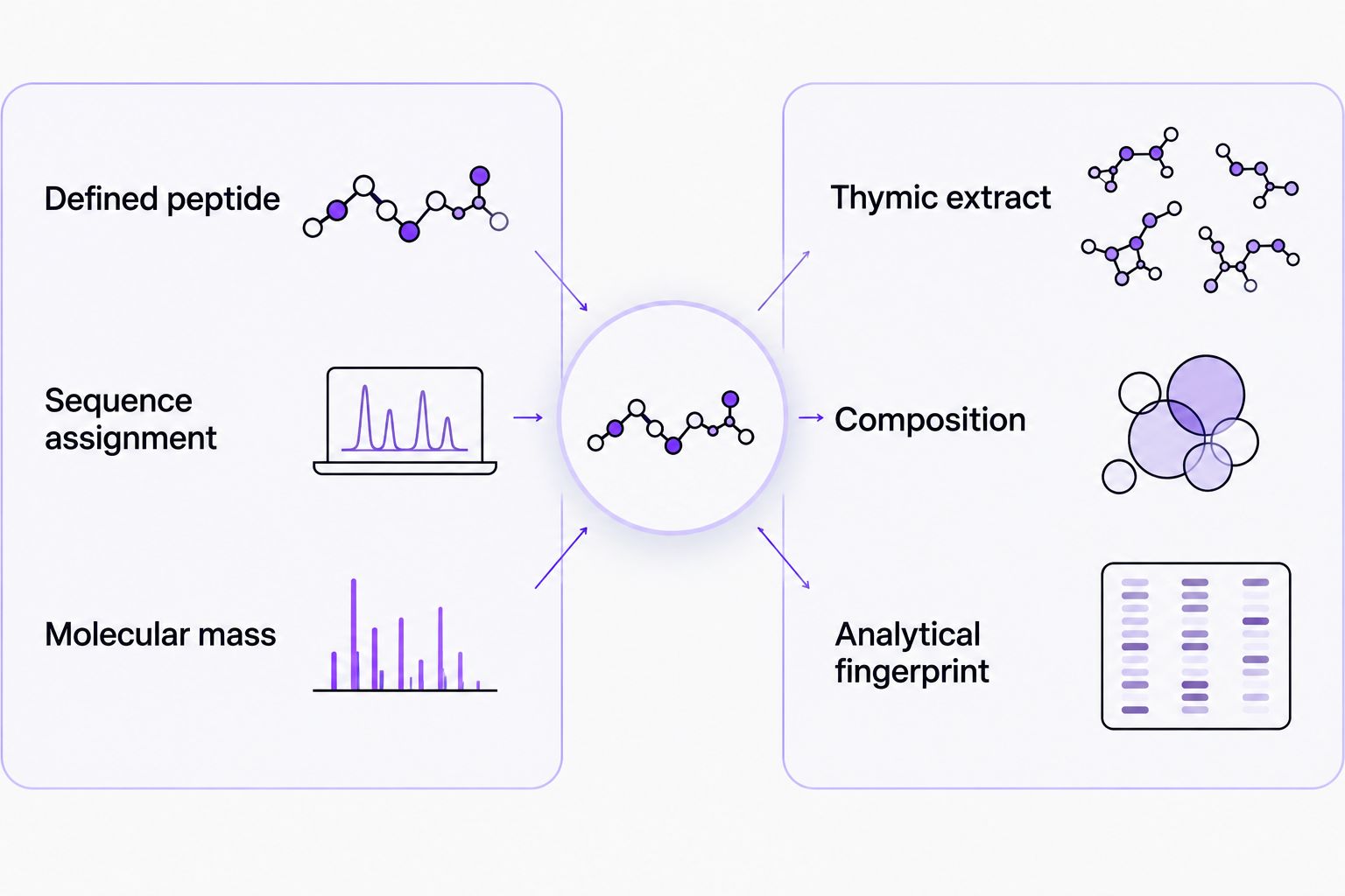 A defined peptide compared with a thymic extract requiring composition and fingerprint analysis.