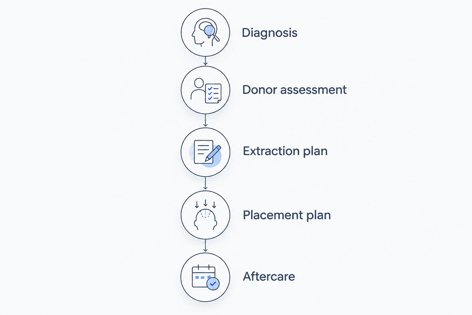 Five consultation stages from diagnosis and donor assessment to extraction, placement and aftercare