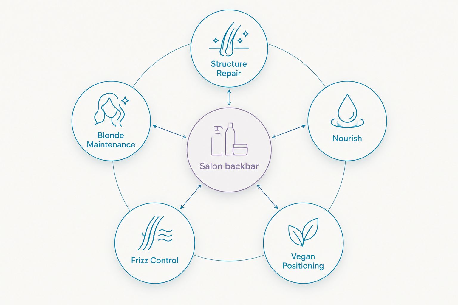 Diagram showing five Nak Hair range categories connected to one central salon backbar decision