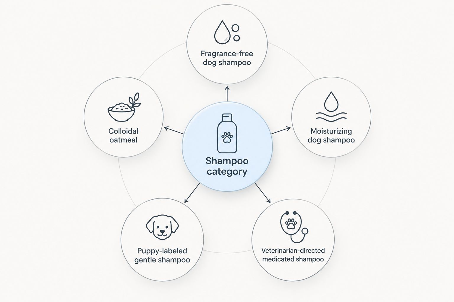 Shampoo categories organized around the reason a sensitive-skinned dog needs a bath.