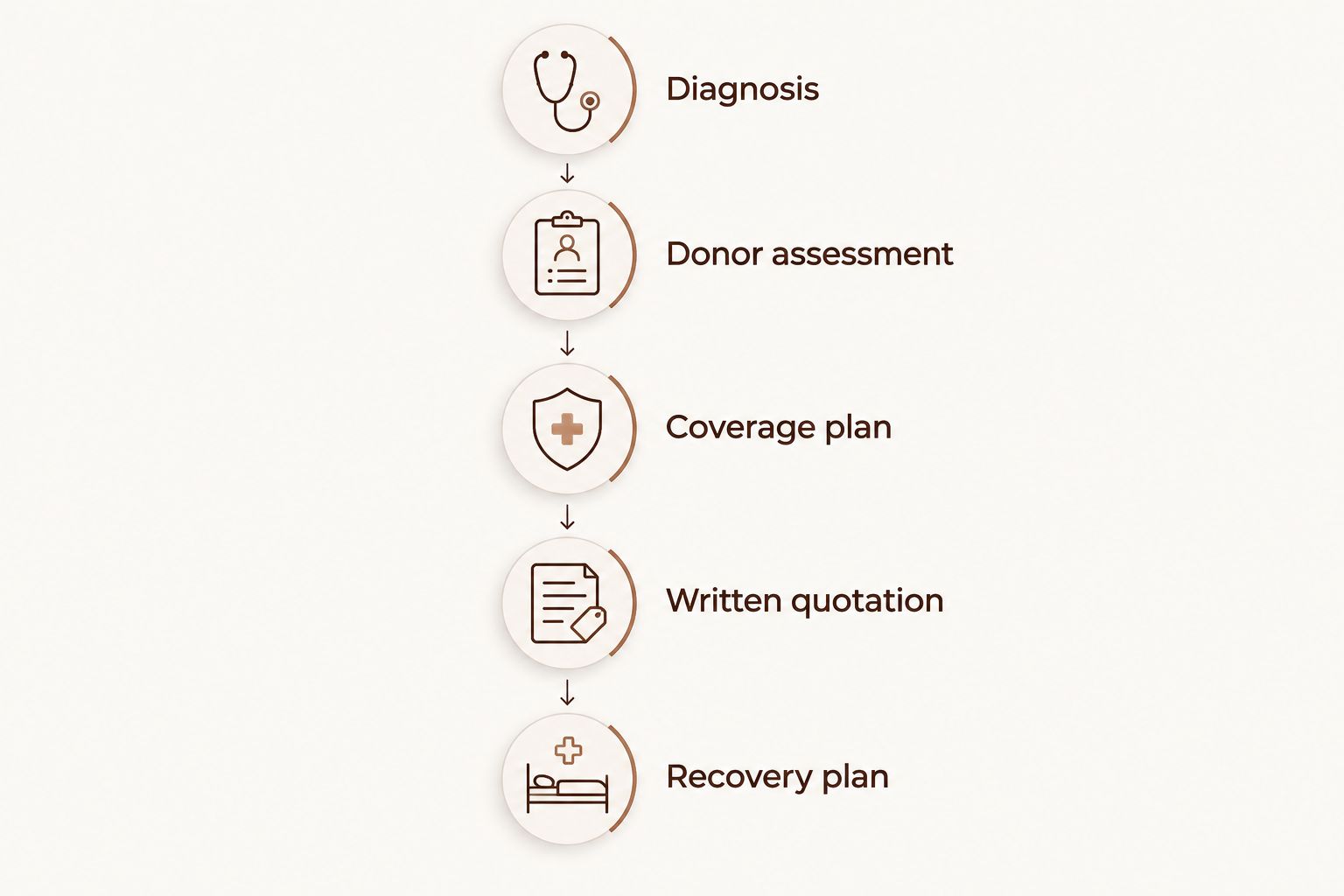 Five consultation steps from diagnosis through donor assessment to a written quotation and recovery plan