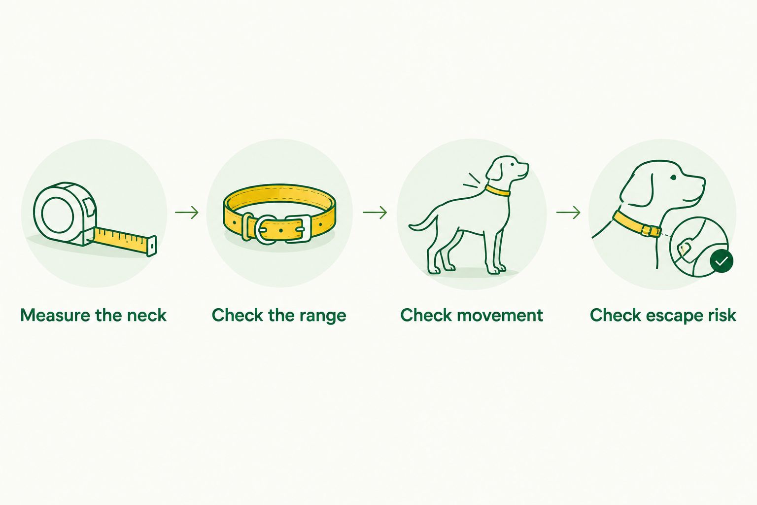 Four collar-fitting checks covering neck measurement, adjustment range, movement, and escape risk