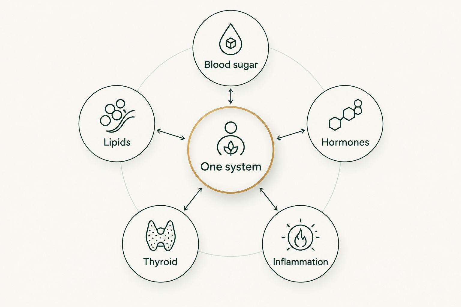 Blood sugar, lipids, hormones, thyroid, and inflammation connected as one system