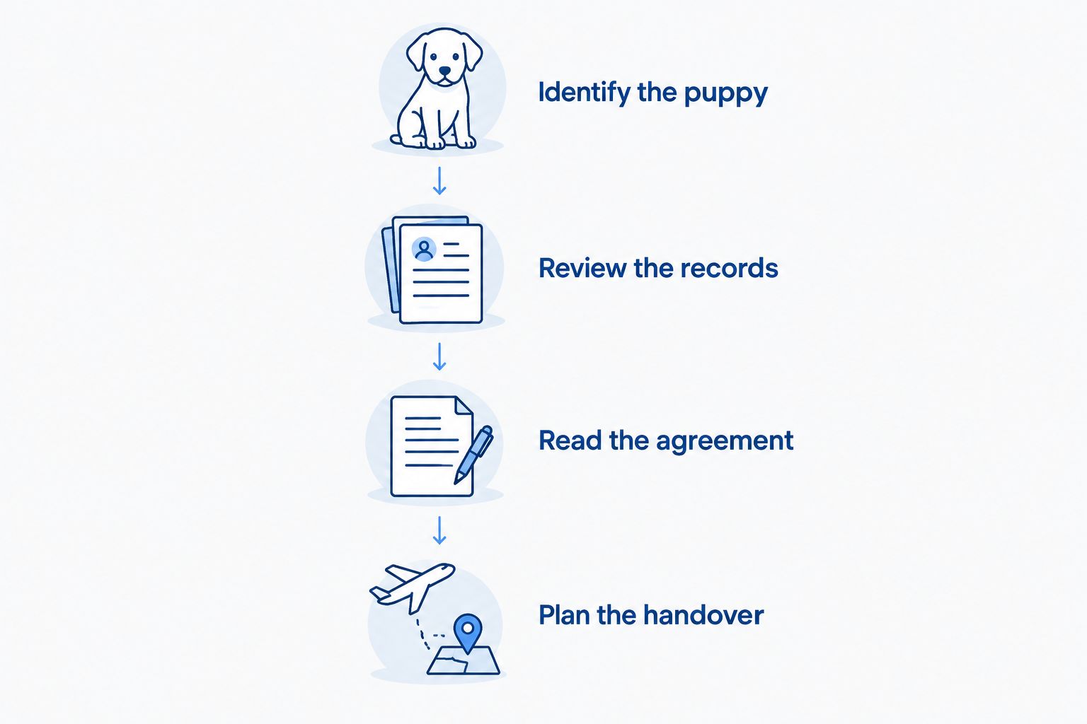 Four steps for checking a puppy’s identity, records, agreement, and handover arrangements
