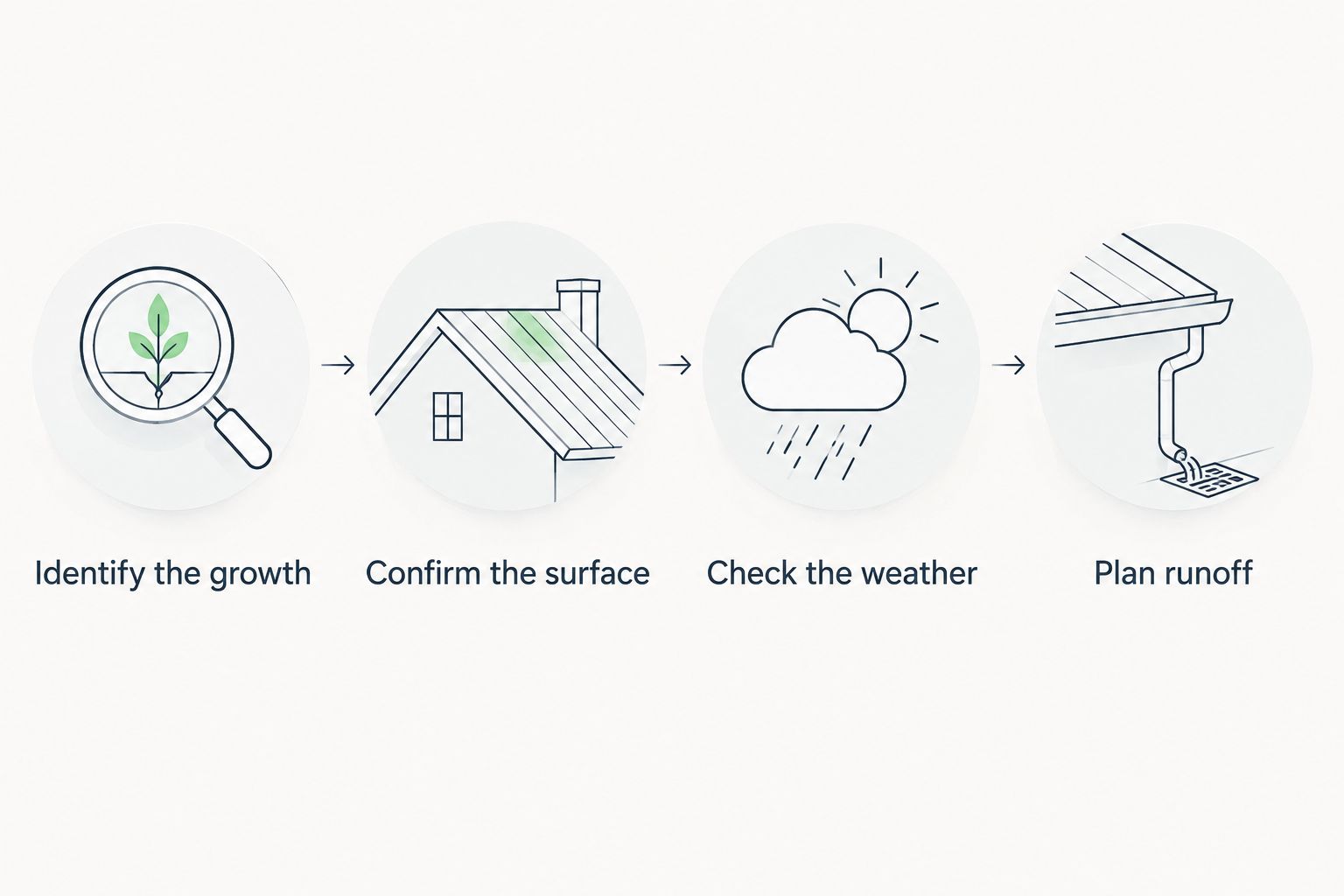 Four checks before roof treatment: growth, surface, weather, and runoff.