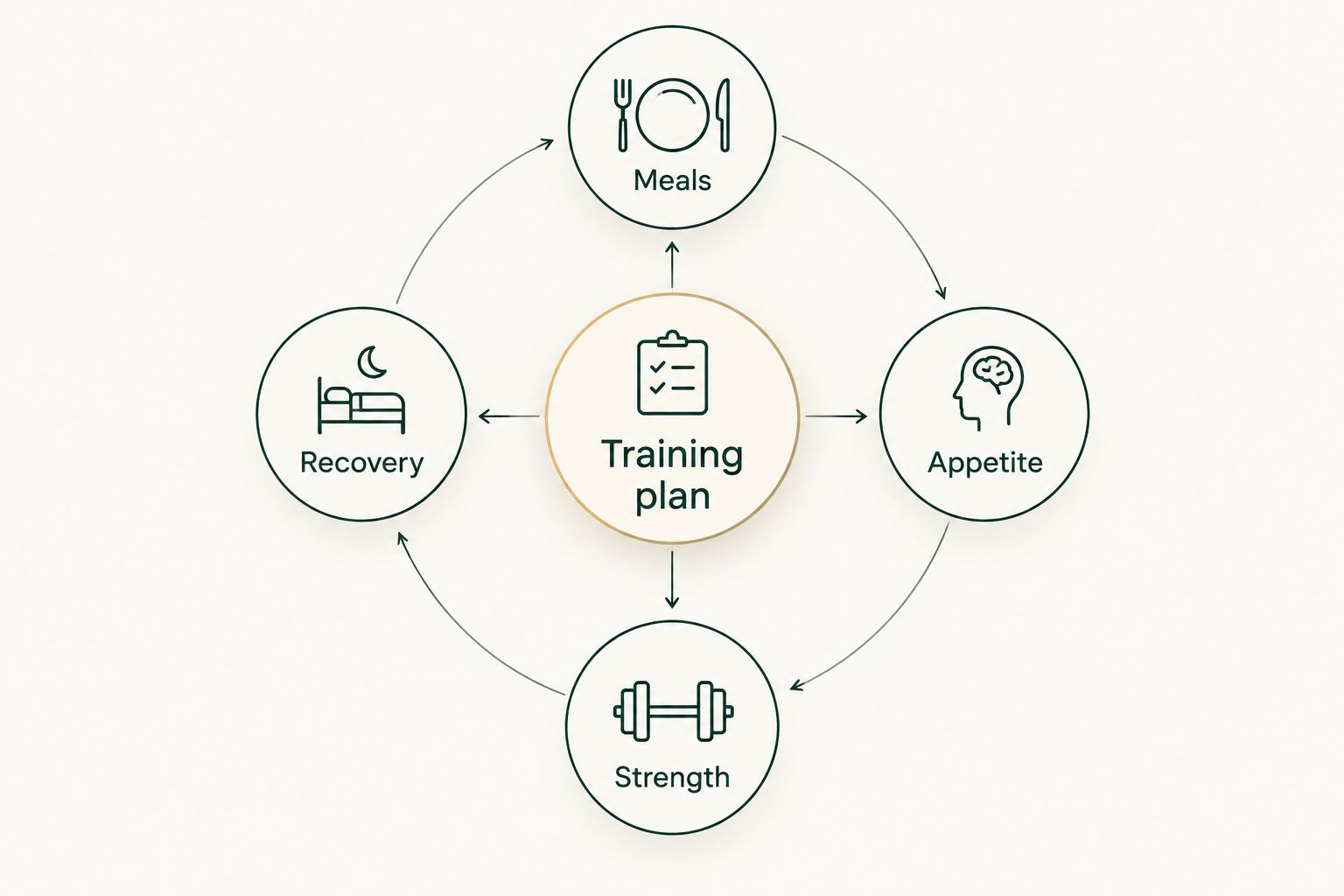 Training plan connected to meals, appetite, strength, and recovery