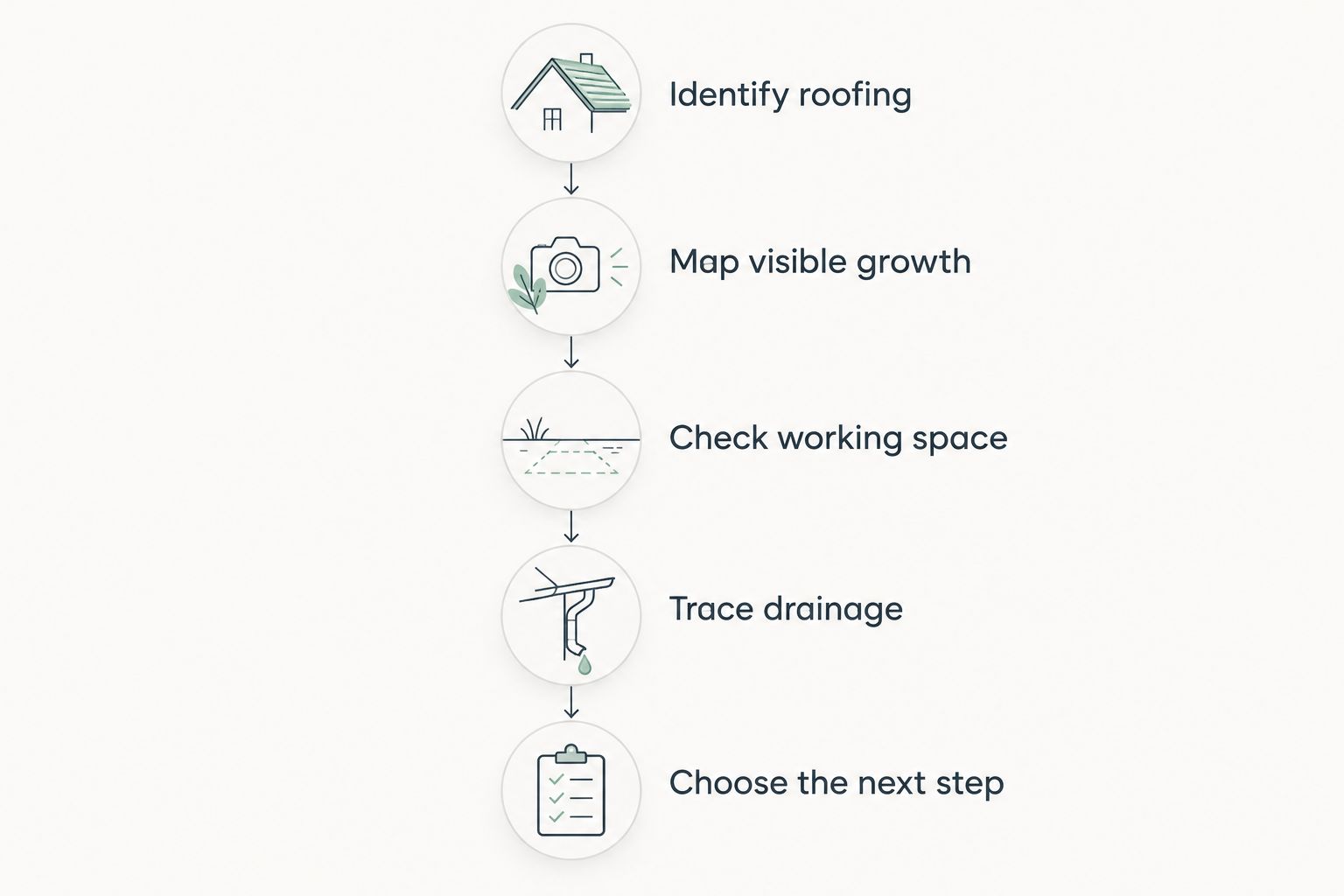 Ground-level assessment sequence from identifying roofing to choosing the next step