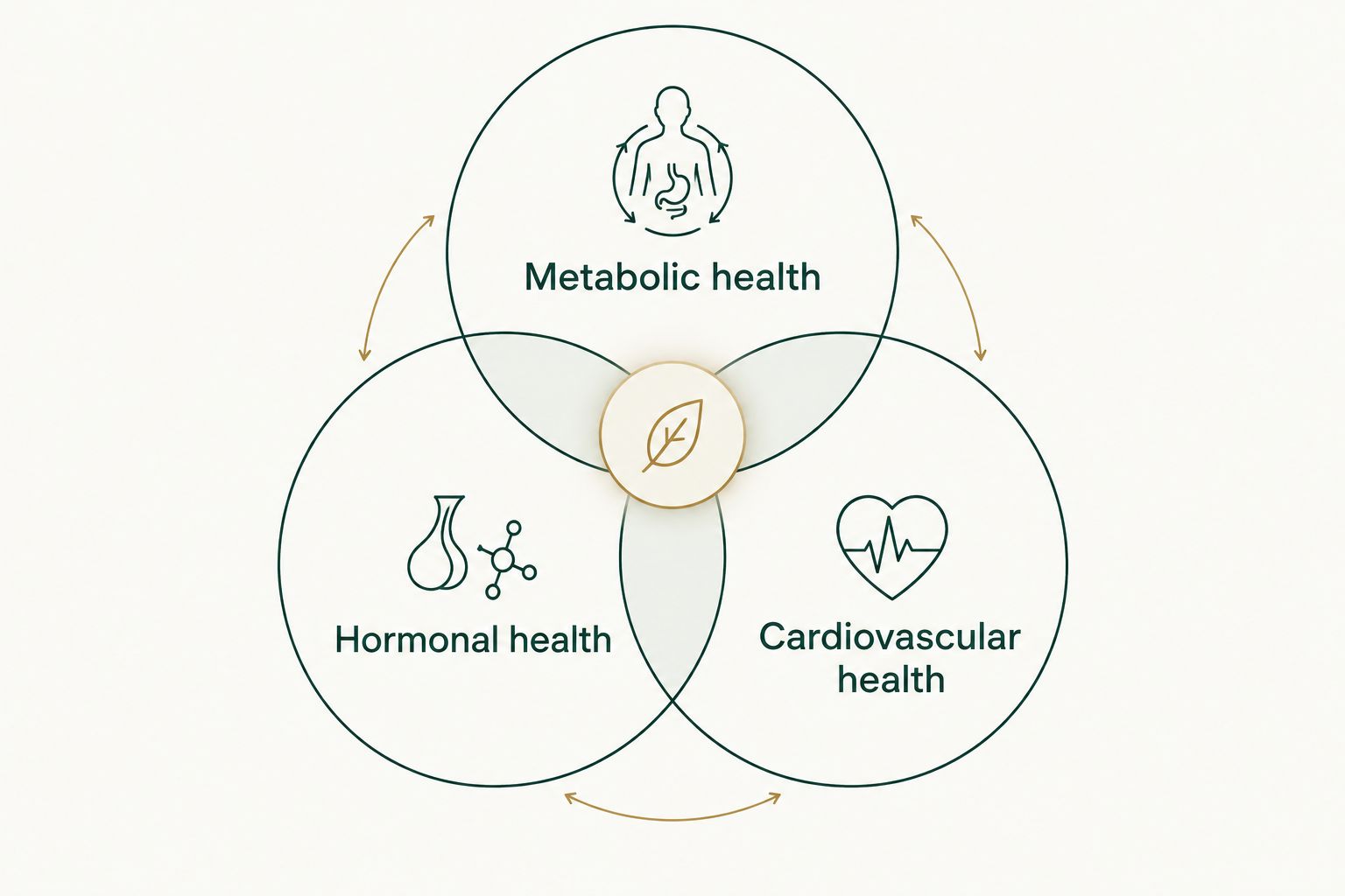 Overlapping metabolic, hormonal, and cardiovascular health assessments