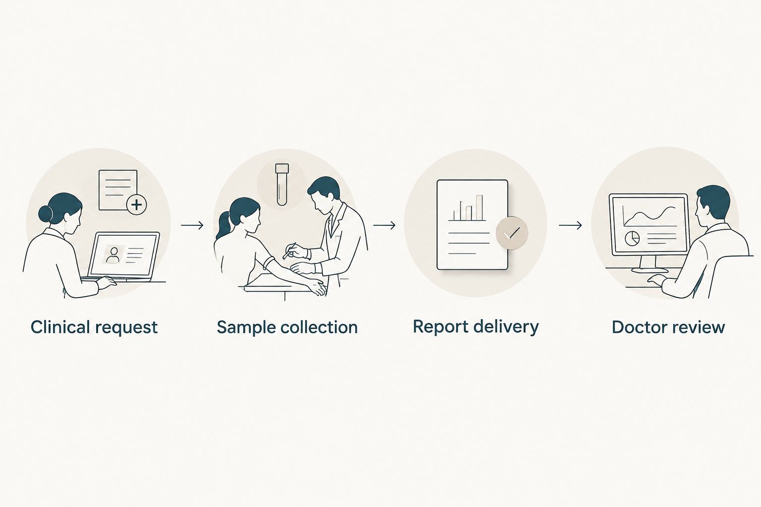Four stages connecting the clinical request, sample collection, report delivery, and doctor review.