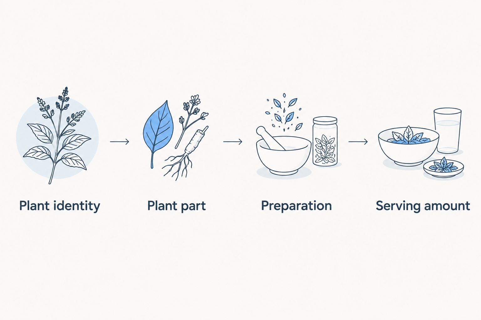 Four label checks: plant identity, plant part, preparation, and serving amount