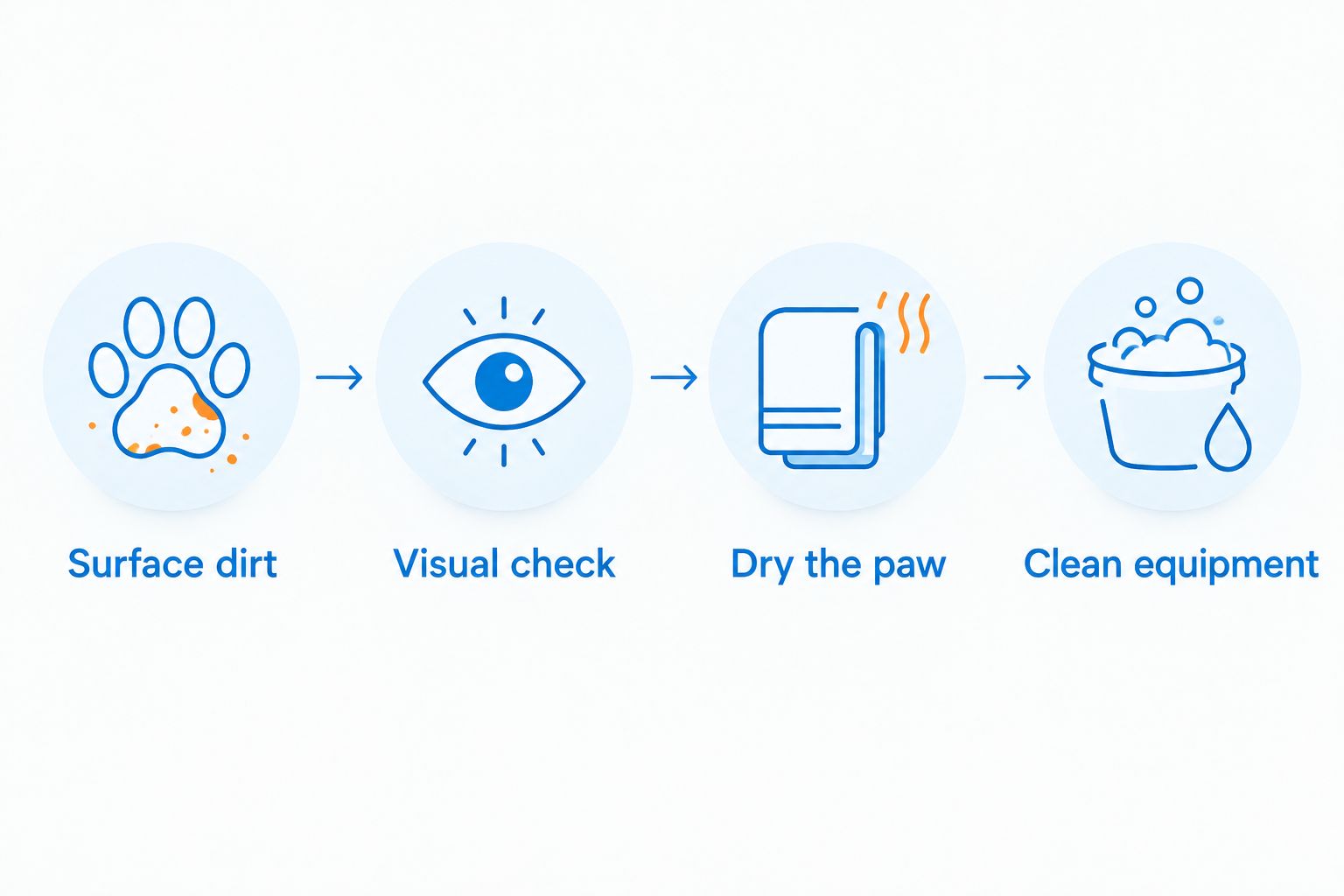 Paw-cleaning sequence covering surface dirt, a visual check, drying, and cleaning equipment