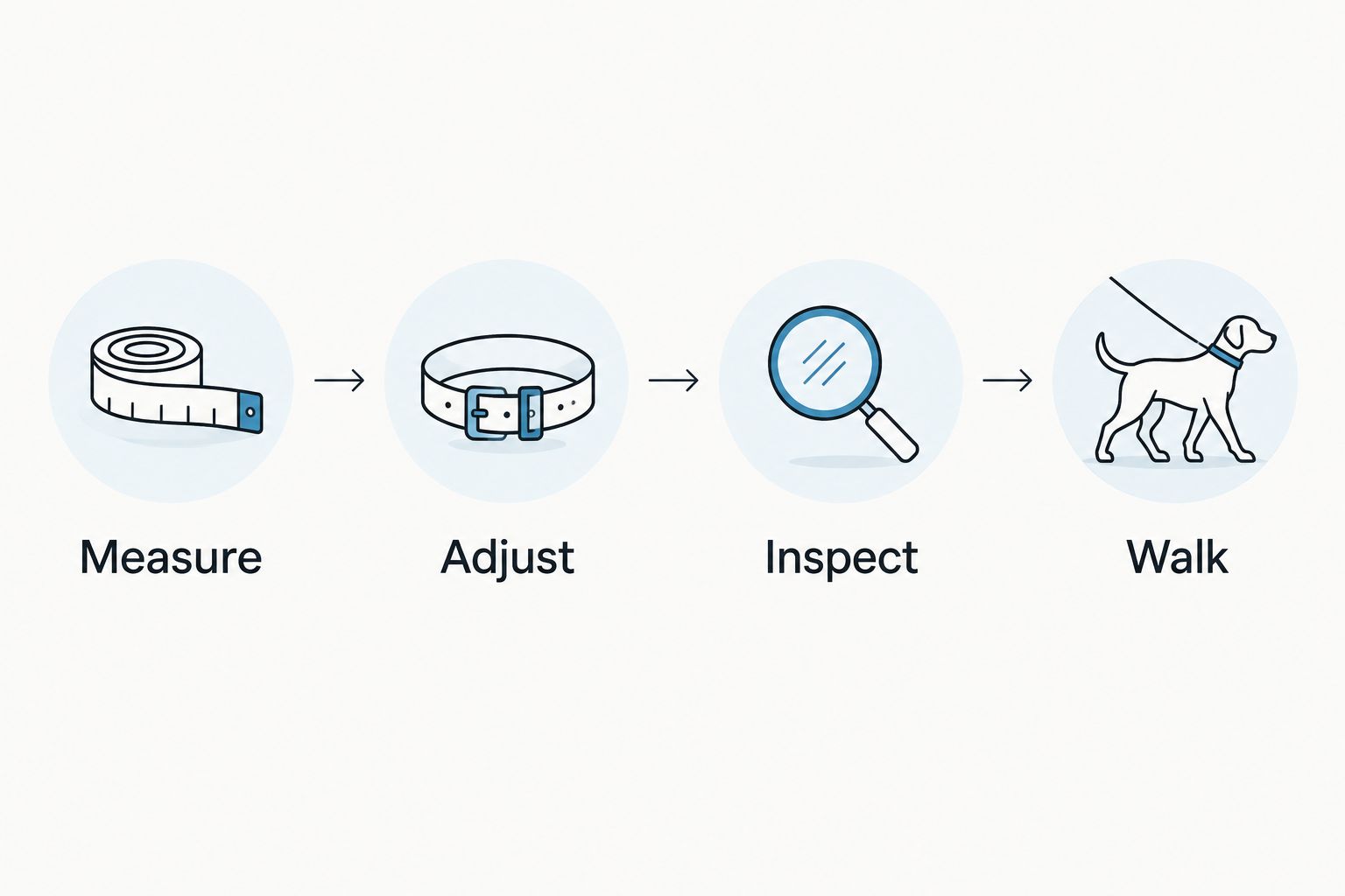 Four collar-fitting steps: measure, adjust, inspect, and walk