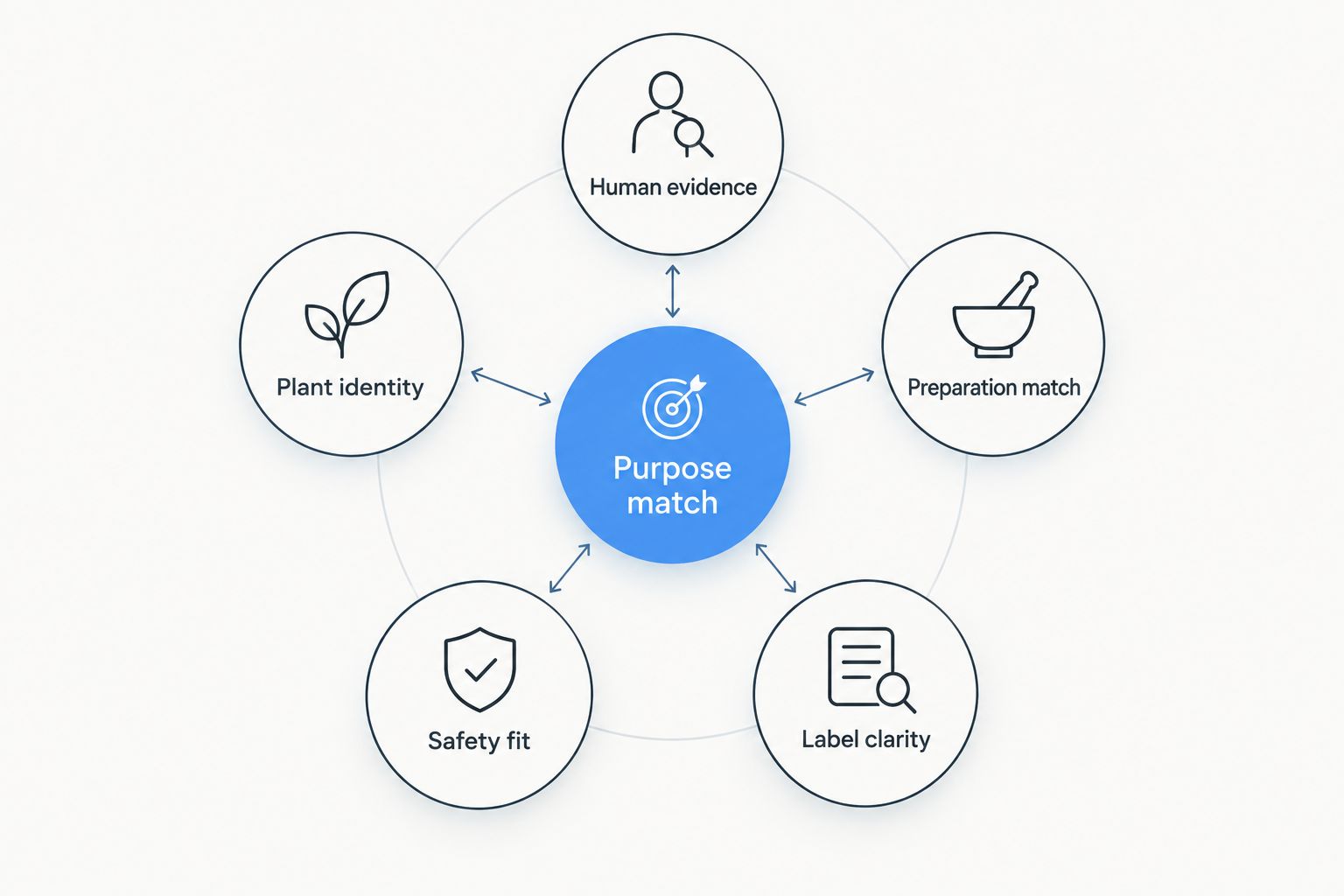 Six criteria for choosing a digestive supplement, centered on matching the purpose