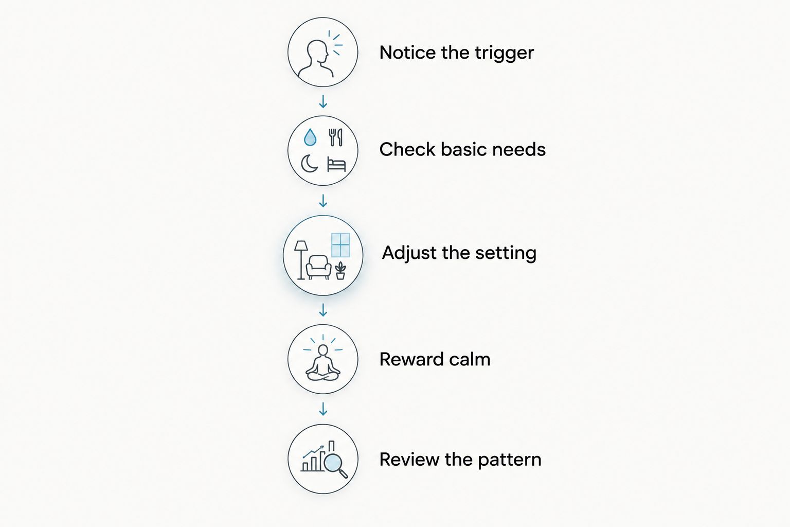 Five steps for responding to Cavapoo barking, from noticing the trigger to reviewing the pattern.