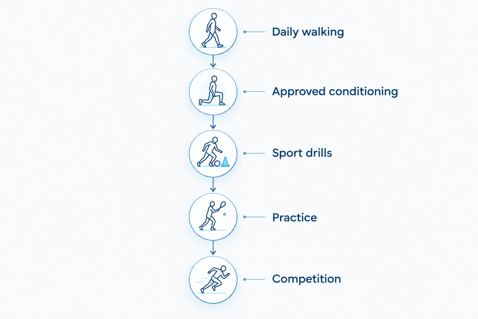 Five activity stages from daily walking through conditioning and sport drills to competition