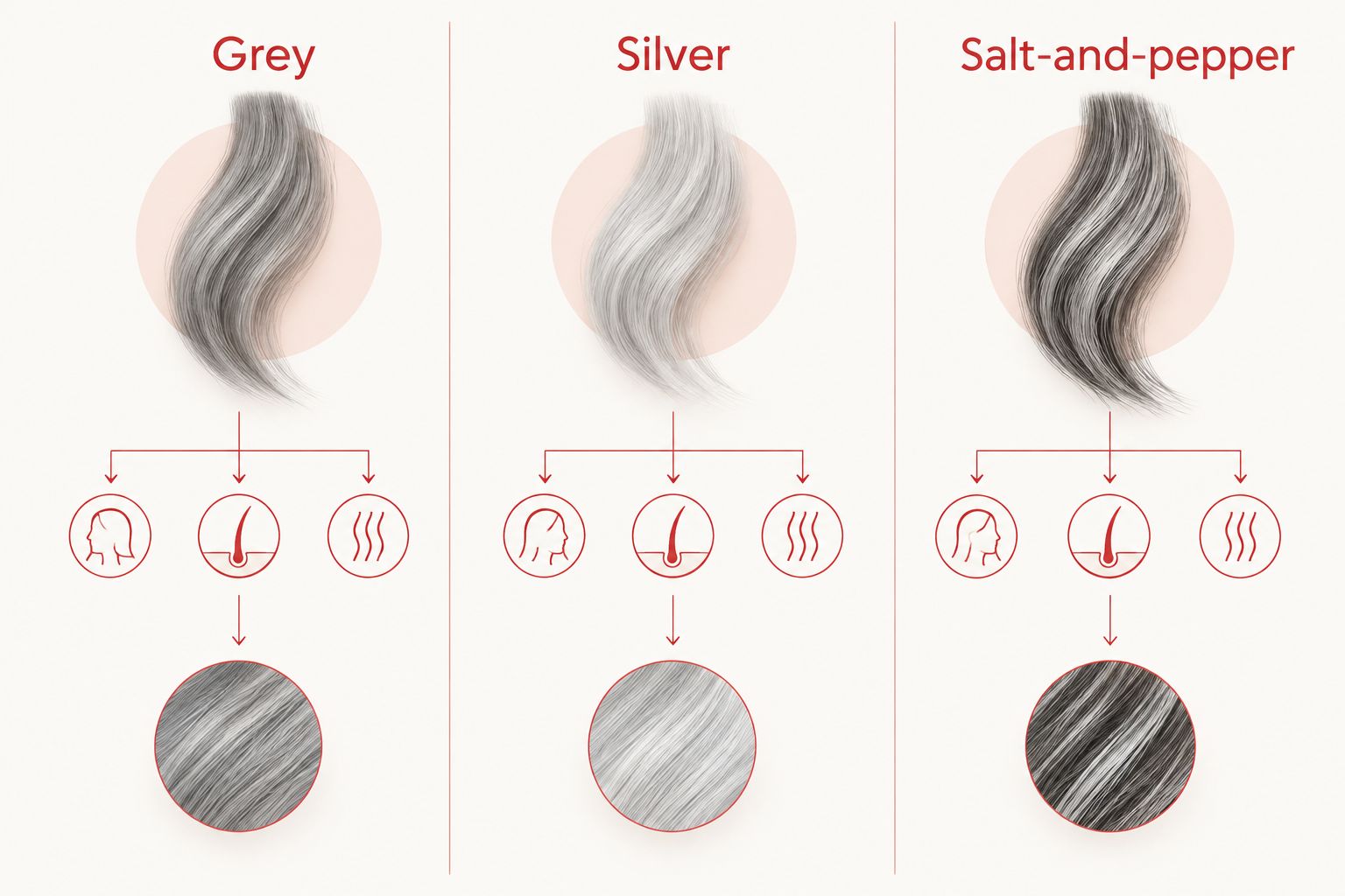 Grey, silver, and salt-and-pepper compared as different hair color appearances