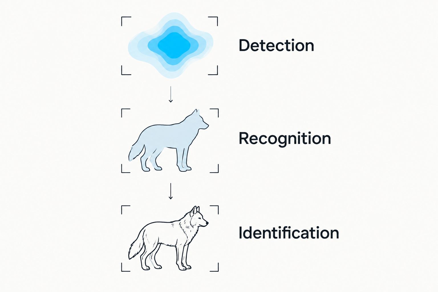 Three separate thermal viewing tasks: detection, recognition and identification