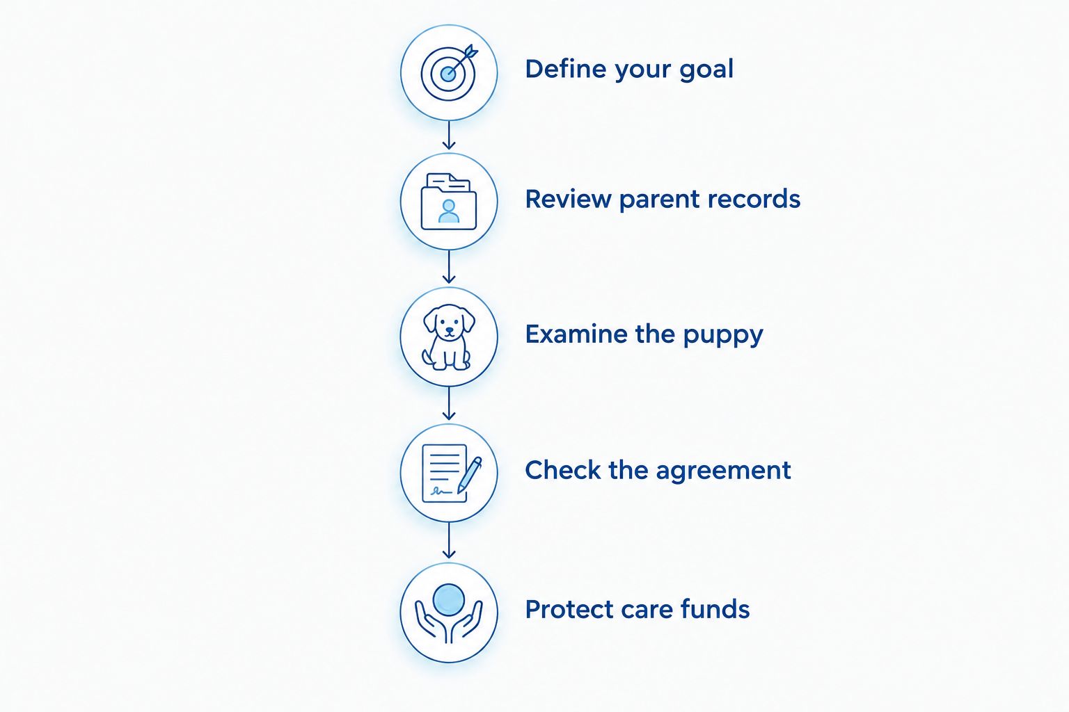Five purchase checks, from defining your goal to protecting funds for veterinary care