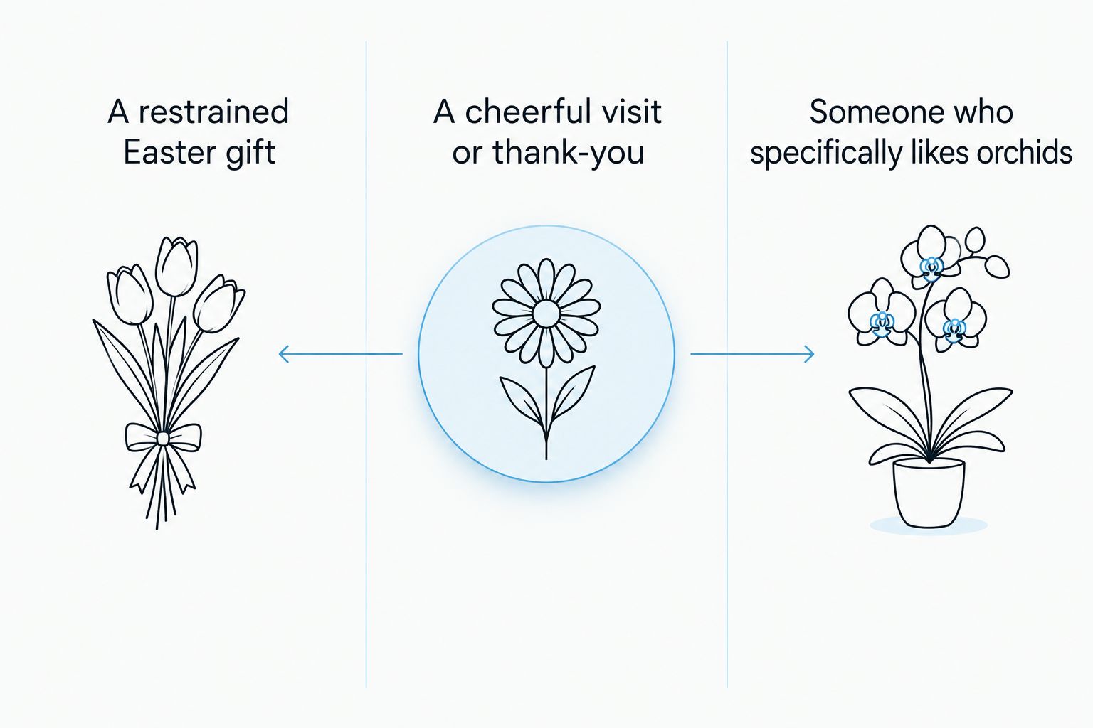Three Easter gift choices compared by recipient and occasion