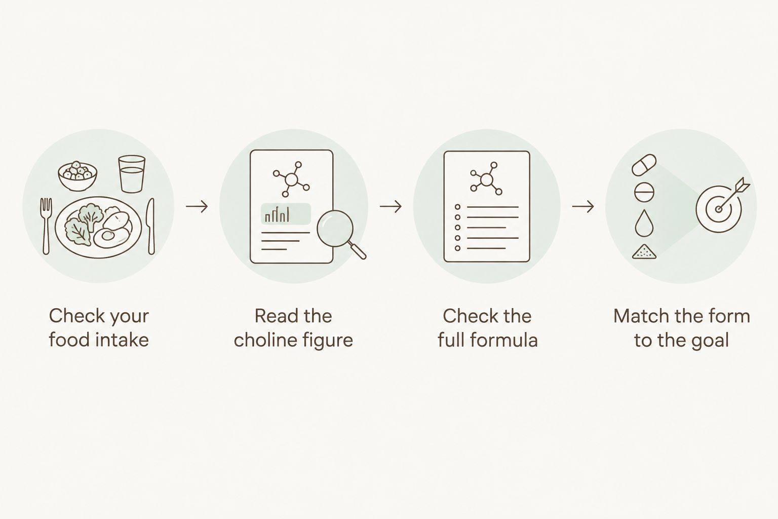 Four checks for comparing choline sources, from food intake to supplement form
