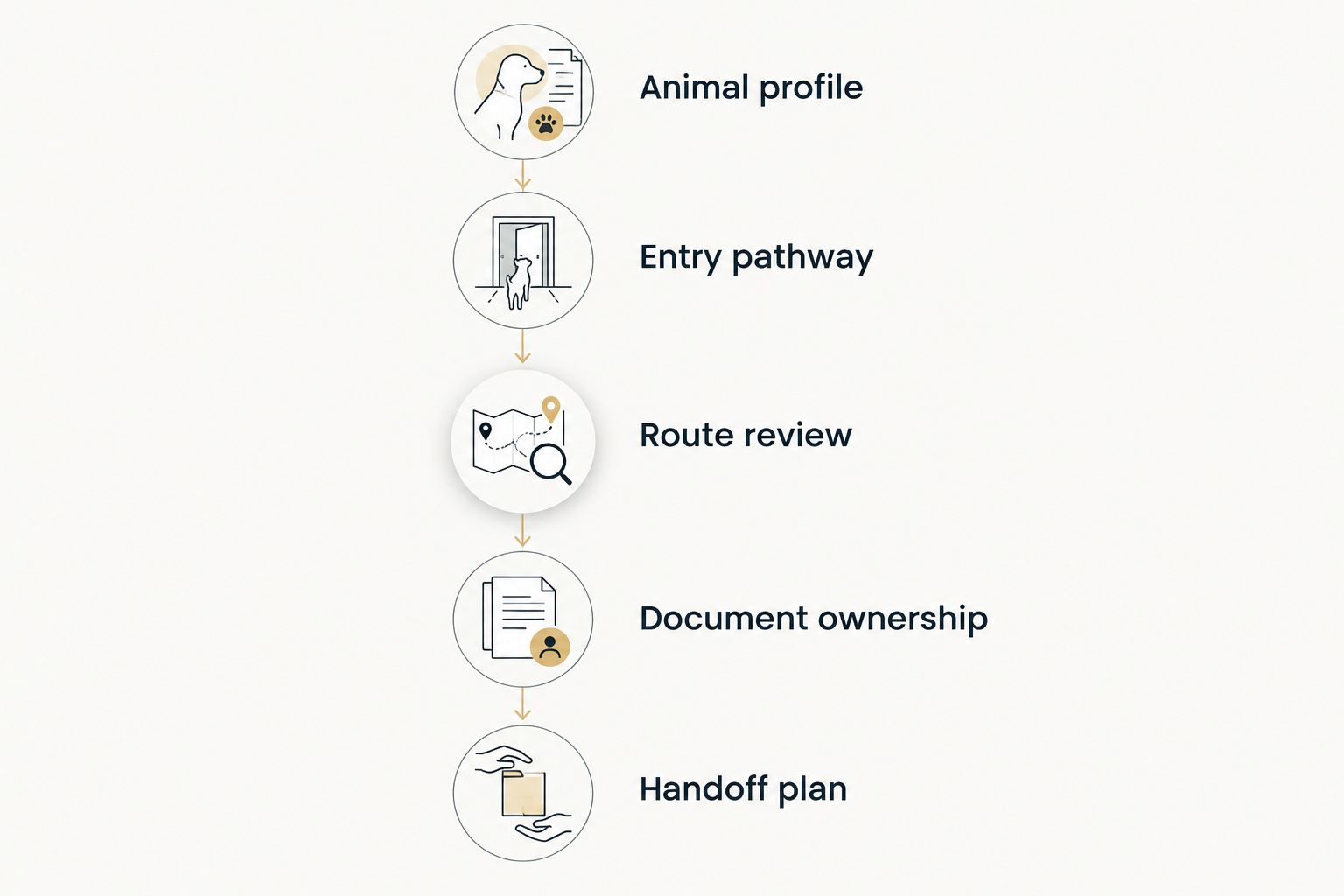 Five planning stages from the animal profile to the final handoff