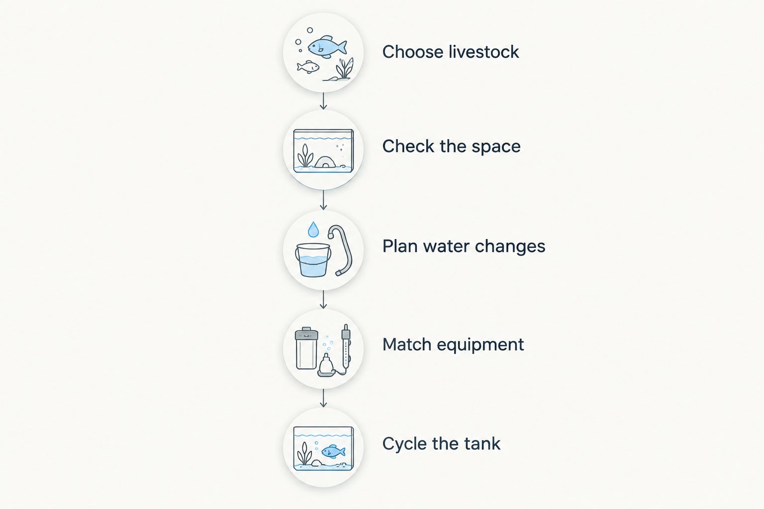Tank selection steps from choosing livestock to cycling the aquarium