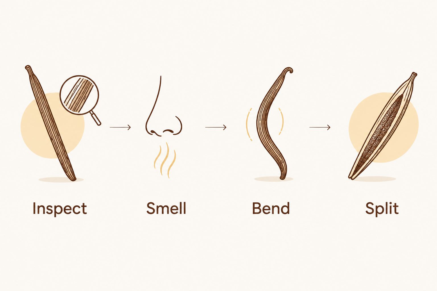 Vanilla bean inspection sequence: inspect the surface, smell, bend gently, and split when needed.