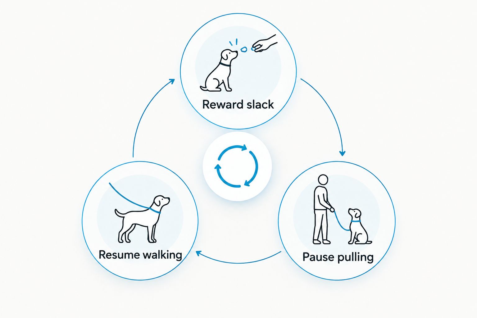 A training loop showing rewarding slack, pausing pulling, and resuming walking