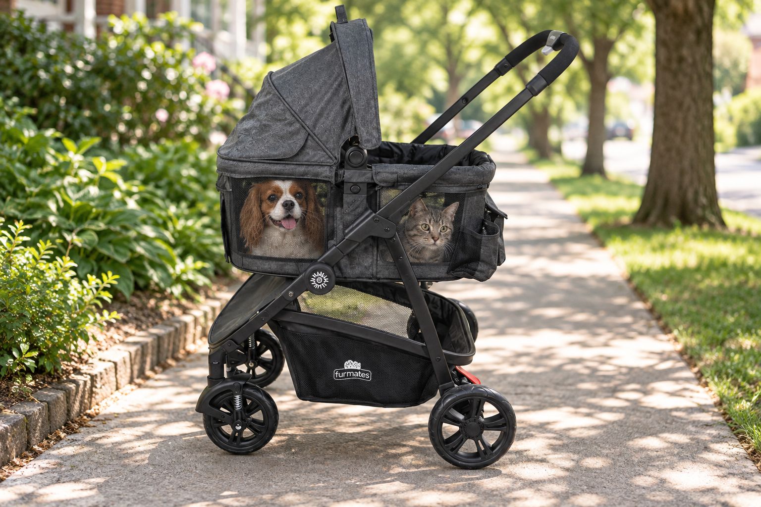Double pet stroller on a sidewalk with a dog and cat inside