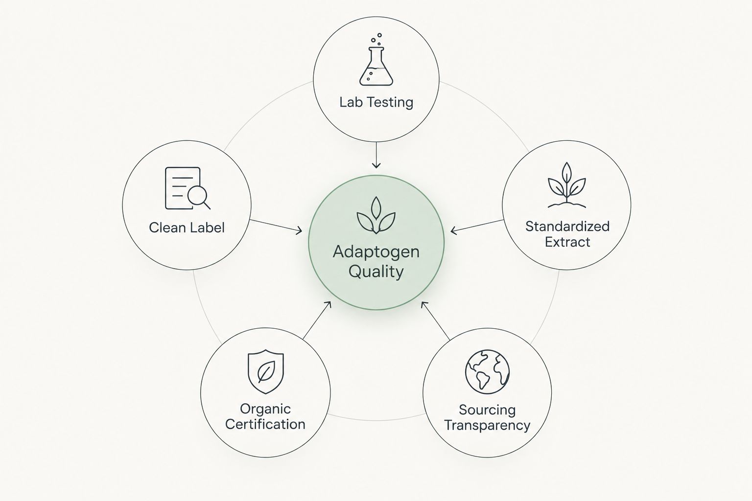 Hub and spoke diagram of five adaptogen supplement quality criteria
