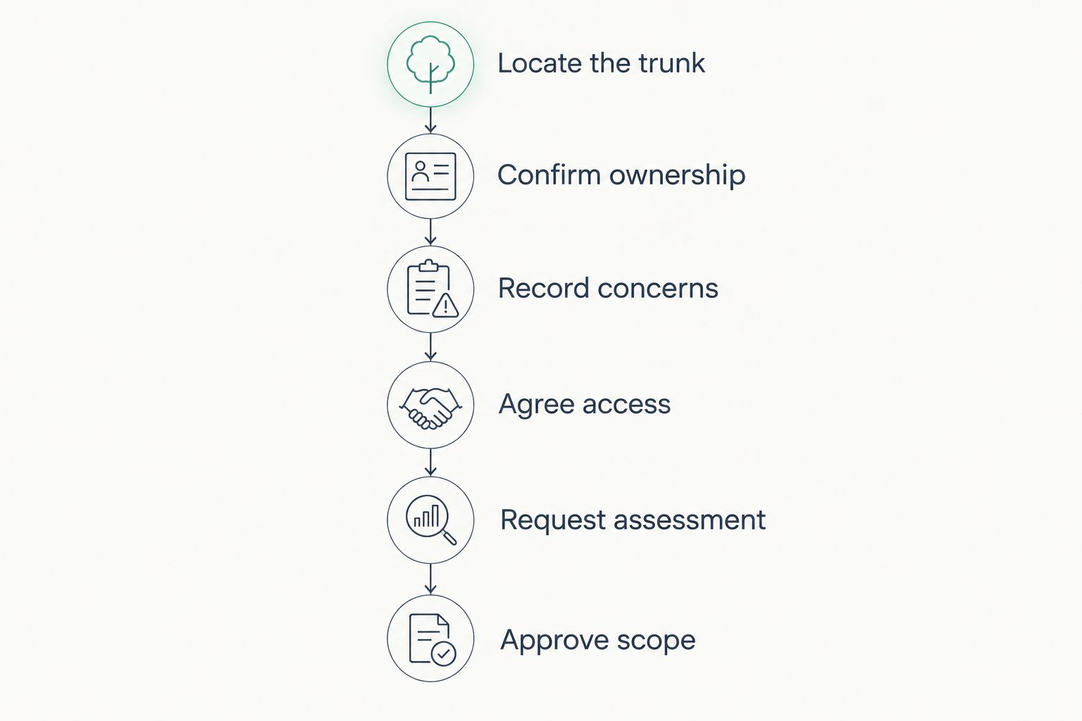 Six stages from locating a boundary tree to approving the removal scope