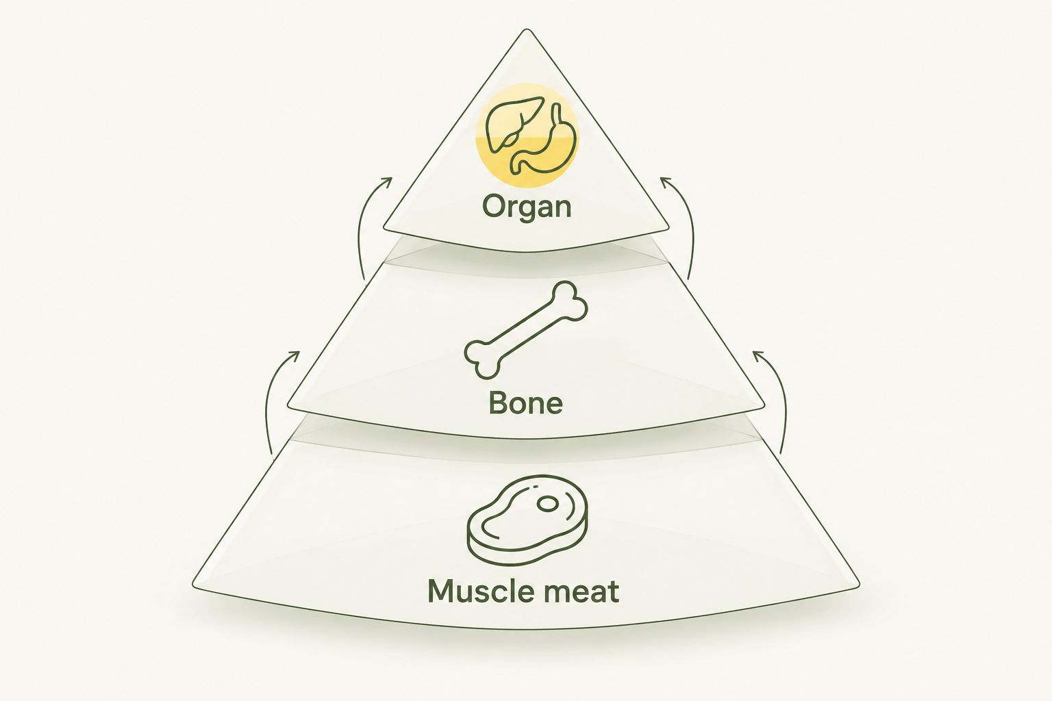 Stacked pyramid showing the 80/10/10 ratio of muscle meat, bone and organ