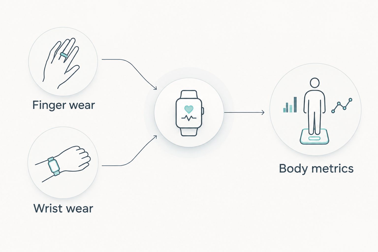 Finger and wrist wear compared with a separate scale-based body-metrics check
