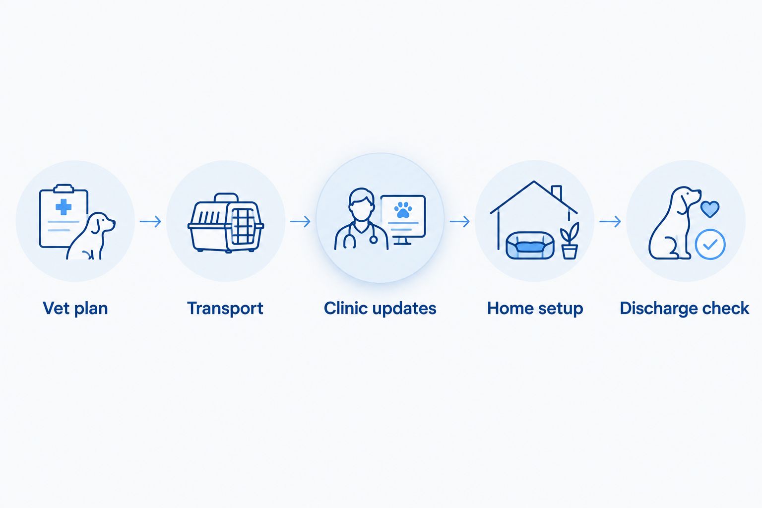 Preparation steps from the veterinary plan through transport, updates, home setup, and discharge