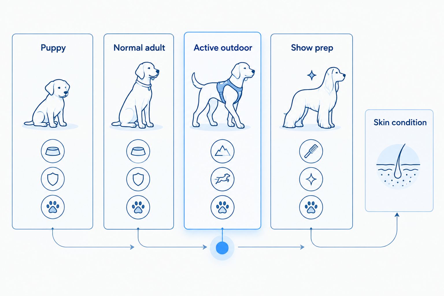 Bar comparison of mini Aussie bathing frequency by life stage and activity level