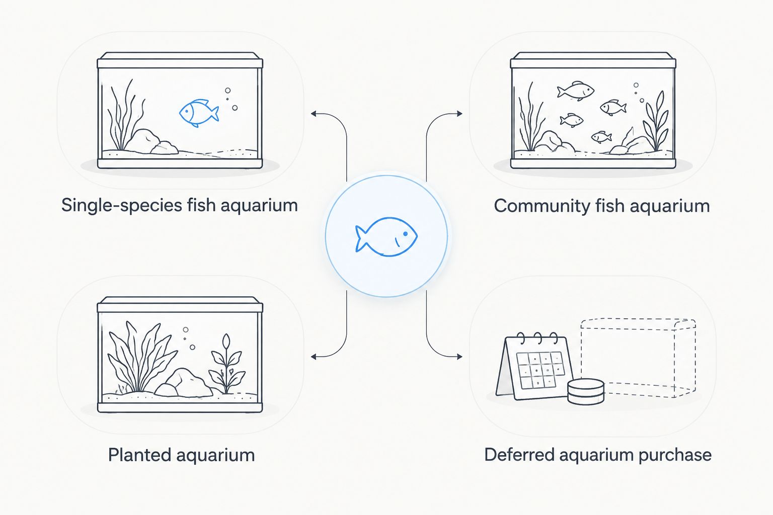 Four student aquarium approaches, from fishkeeping to a planted tank or postponing the purchase