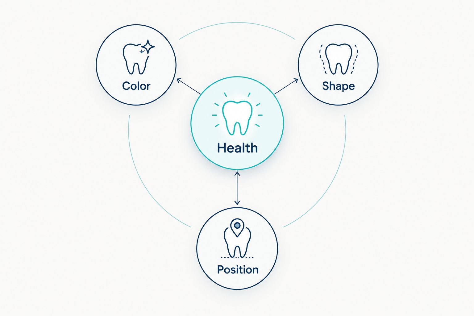 Tooth health at the center of decisions about color, shape, and position.