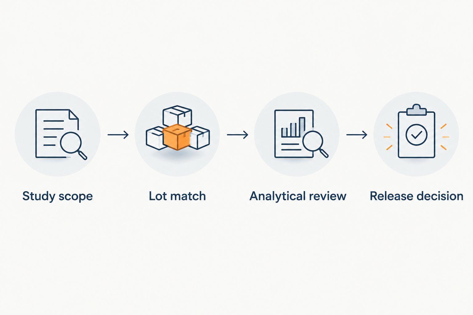 Four qualification steps connecting study scope, lot matching, analytical review and the release decision.