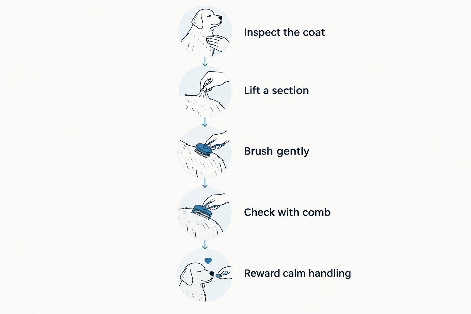 Section-by-section grooming sequence from coat inspection to rewarding calm handling