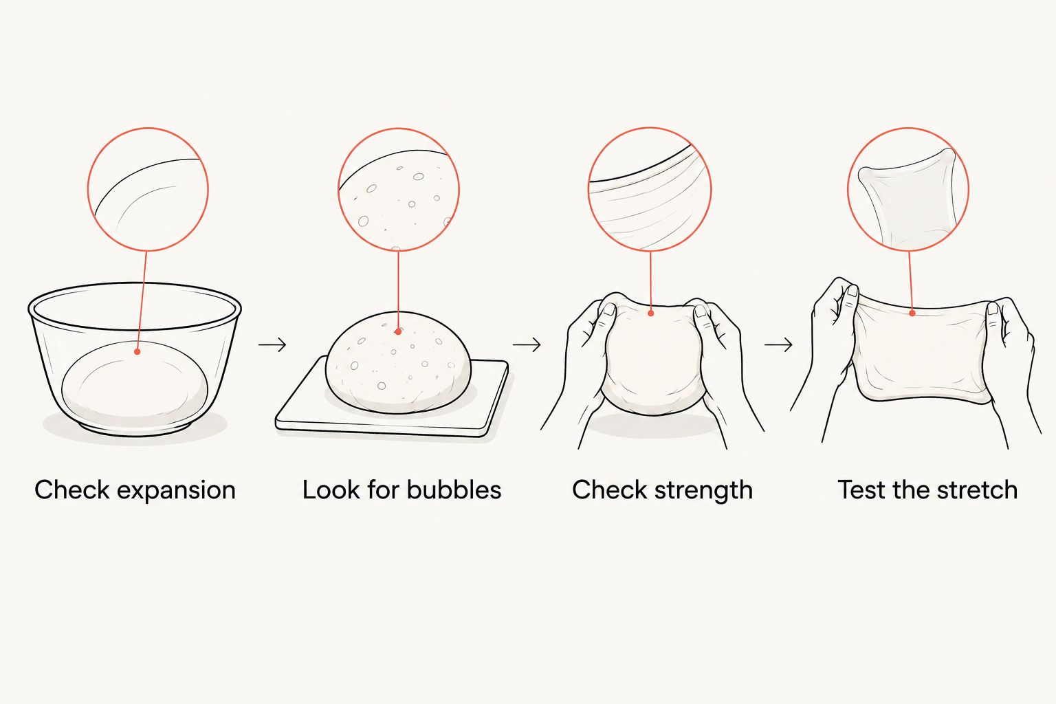 Dough readiness checks: expansion, bubbles, strength, and stretch