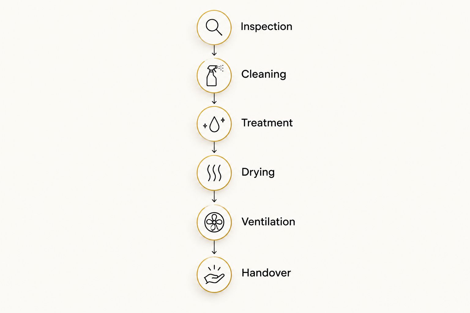 EA Detailer Interior sanitization booking stages from inspection and cleaning to ventilation and handover