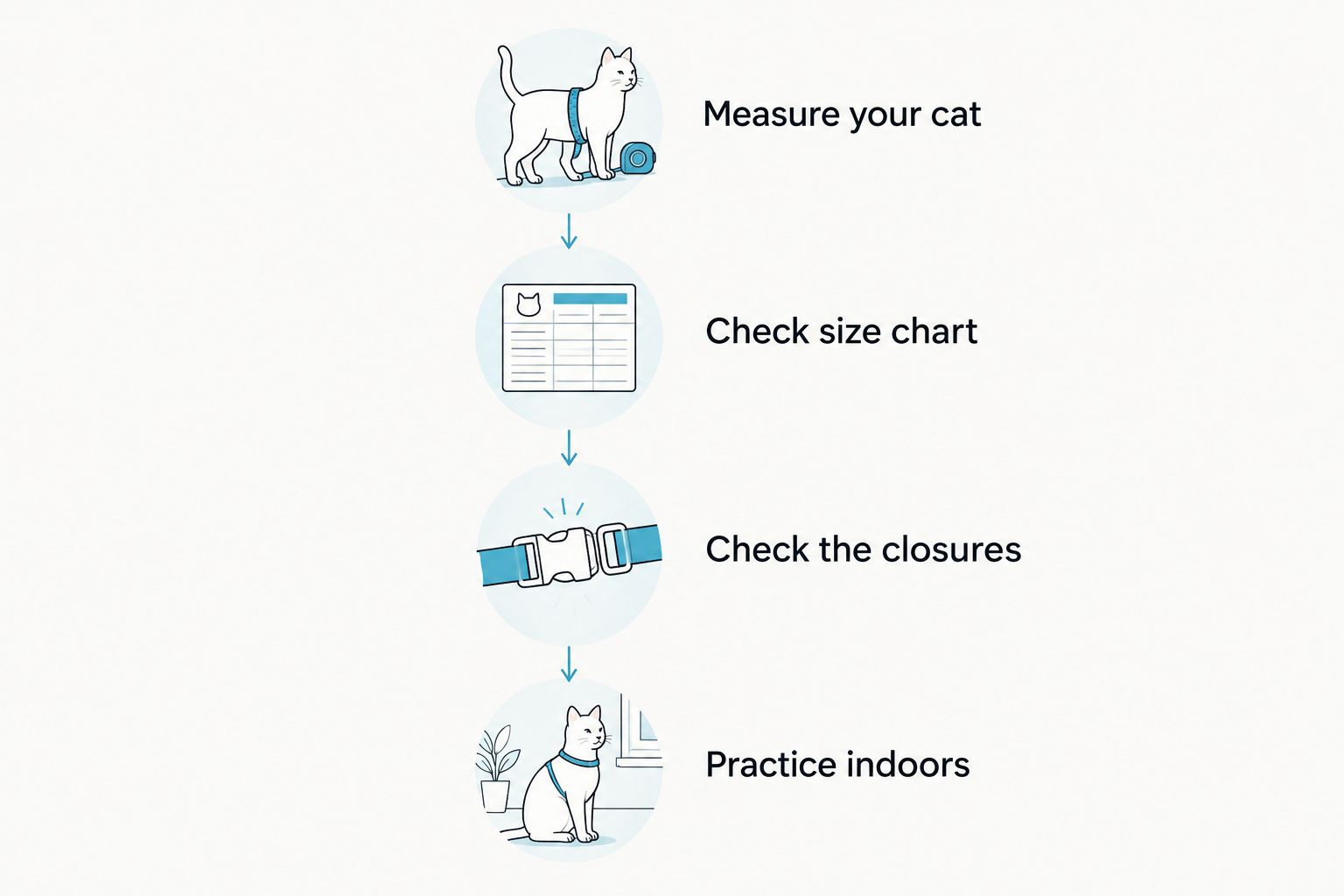 Four checks before outdoor harness walks: measurements, size chart, closures, and indoor practice.