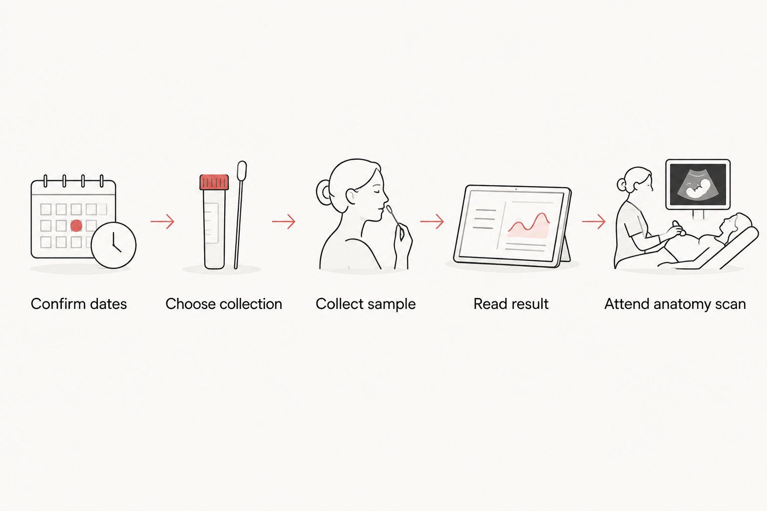 Steps from confirming pregnancy dates through SneakPeek collection and the anatomy scan